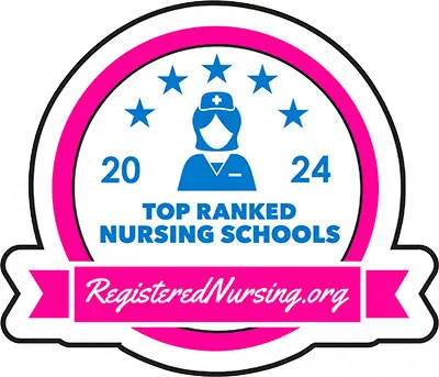 Reliving the Iconic 1998 Soccer Final: A Complete Match Analysis and Highlights
